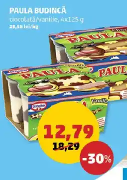 Penny Paula budincă ciocolată/vanilie Ofertă