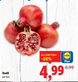Lidl Rodii Ofertă