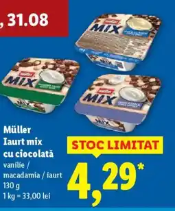 Lidl Müller Iaurt mix cu ciocolată Ofertă