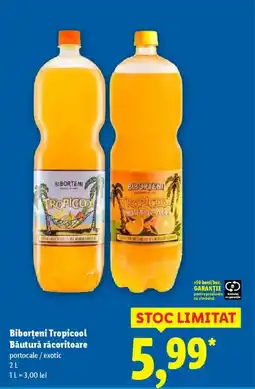 Lidl Biborţeni Tropicool Băutură răcoritoare Ofertă