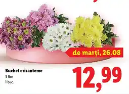 Lidl Buchet crizanteme Ofertă