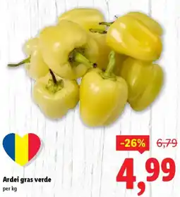 Lidl Ardei gras verde Ofertă