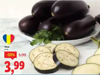 Lidl Vinete Ofertă