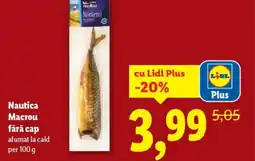Lidl Nautica Macrou fără cap Ofertă