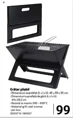 Selgros Grătar pliabil Ofertă