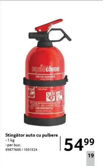 Selgros Stingător auto cu pulbere Ofertă