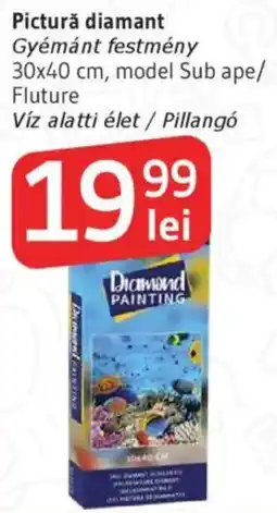 Supeco Pictură diamant Ofertă