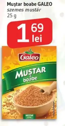 Supeco Muştar boabe GALEO Ofertă