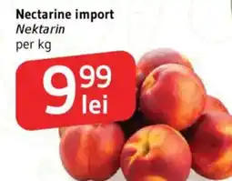 Supeco Nectarine import Ofertă
