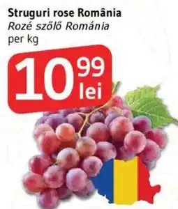 Supeco Struguri rose România Ofertă
