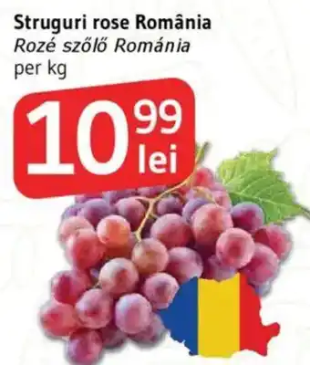 Supeco Struguri rose România Ofertă