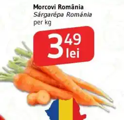 Supeco Morcovi România Ofertă