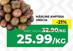 Simos Măsline amfissa grecia Ofertă