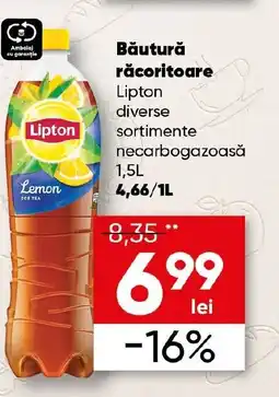 PROFI Băutură răcoritoare Lipton Ofertă