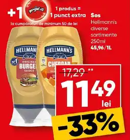 PROFI Sos Hellmann's Ofertă