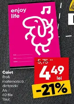 PROFI Caiet Profi matematică/ dictando A4 Ofertă
