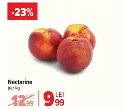 Carrefour Nectarine Ofertă