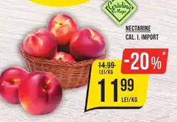 Mega Image Nectarine Ofertă