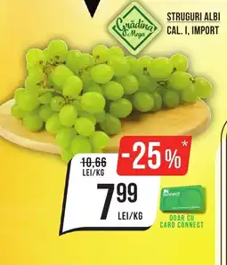 Mega Image Struguri albi cal. i, import Ofertă