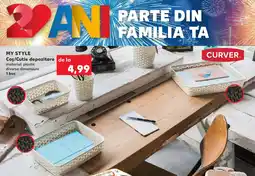 Kaufland MY STYLE Cos/Cutie depozitare Ofertă