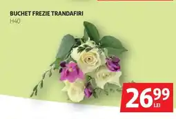 Auchan Buchet frezie trandafiri h40 Ofertă