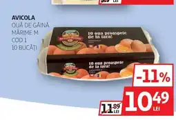 Auchan AVICOLA Ouă de găină mărime Ofertă