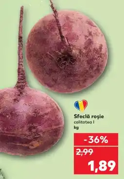 Kaufland Sfeclă roşie Ofertă