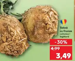 Kaufland Ţelină cu frunze Ofertă