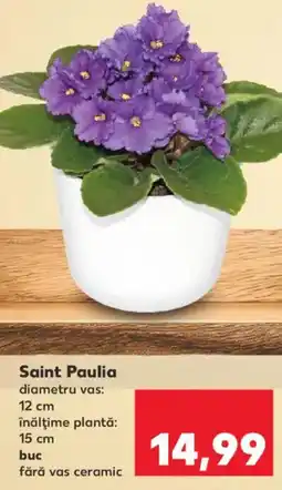 Kaufland Saint Paulia Ofertă