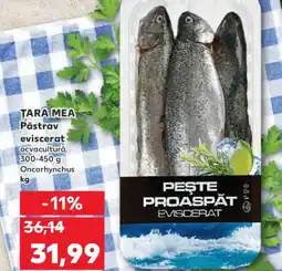 Kaufland TARA MEA Păstrav eviscerat Ofertă