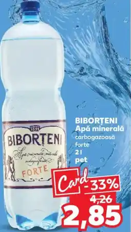 Kaufland BIBORTENI Apă minerală Ofertă