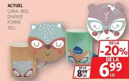 Auchan Actuel cana /bol diverse forme Ofertă
