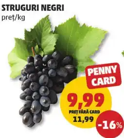 Penny Struguri negri Ofertă