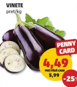 Penny Vinete Ofertă