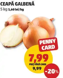 Penny Ceapă galbenă Ofertă