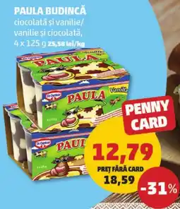 Penny Paula budincă ciocolată şi vanilie/ vanilie și ciocolată Ofertă