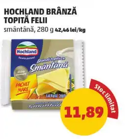 Penny Hochland brânză topită felii smântână Ofertă
