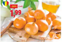 Lidl Ceapǎ galbenă Ofertă