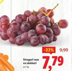 Lidl Struguri roze cu sâmburi Ofertă