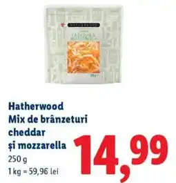 Lidl Hatherwood Mix de brânzeturi cheddar şi mozzarella Ofertă
