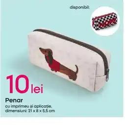 Pepco Penar Ofertă