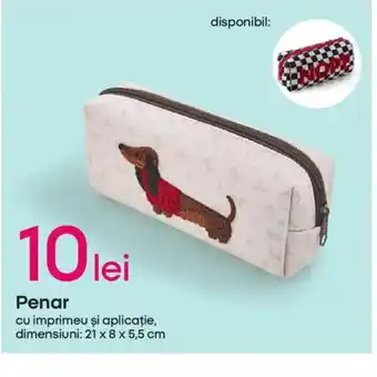 Pepco Penar Ofertă