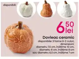 Pepco Dovleac ceramic Ofertă