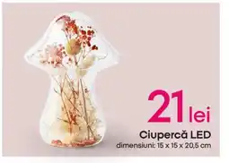 Pepco Ciupercă LED Ofertă