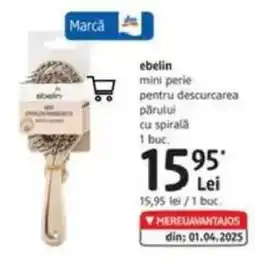 DM Ebelin mini perie pentru descurcarea părului cu spirală Ofertă