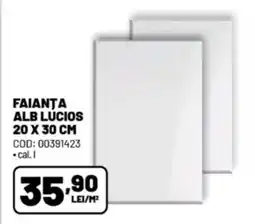 Ambient Faianta alb lúcios Ofertă