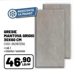 Ambient Gresie mantova grigio Ofertă