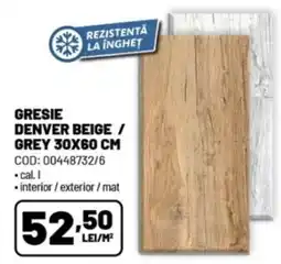Ambient Gresie denver beige / grey Ofertă