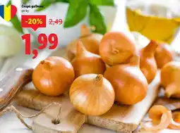 Lidl Ceapǎ galbenă Ofertă