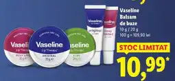 Lidl Vaseline Balsam de buze Ofertă